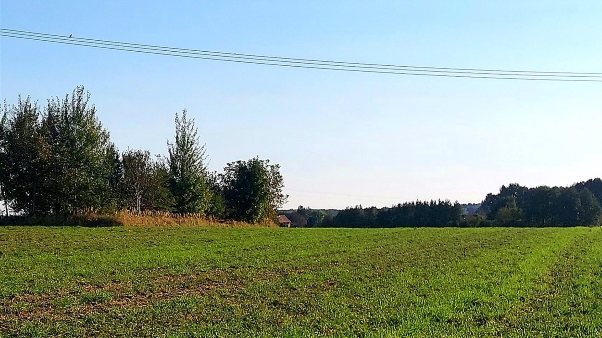 Działka na sprzedaż